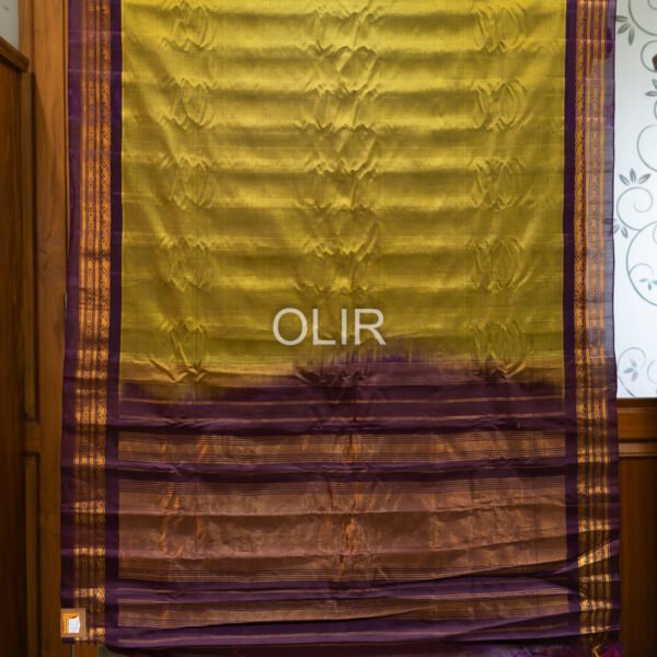 Mehendi Green with Jamun Border Gadwal Cotton Saree