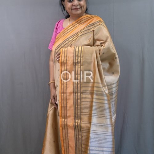 Traditional Tone Body with Contrast Pallu Silk Cotton Saree with Intricate Details
