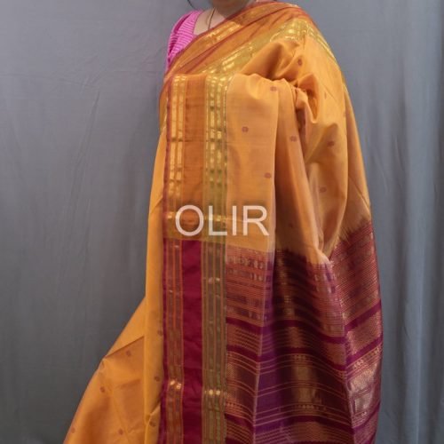 Refined Tone Body with Contrast Pallu Silk Cotton Saree