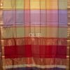 MSC085-2.jpg Multicolor Checks Maheshwari Saree with Red Pallu