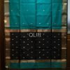 Azure Blue with Black Border and Pallu