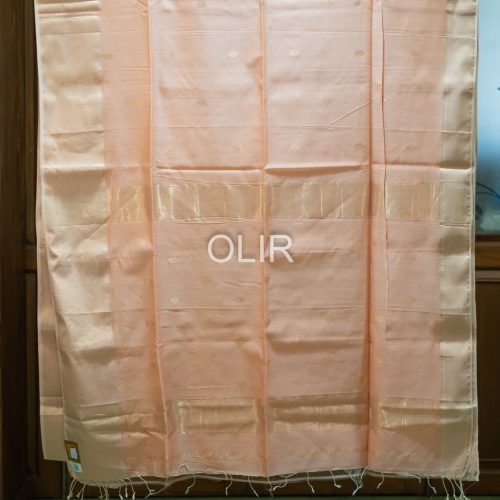 MSC145-1.jpg Peach Floral Butti Saree