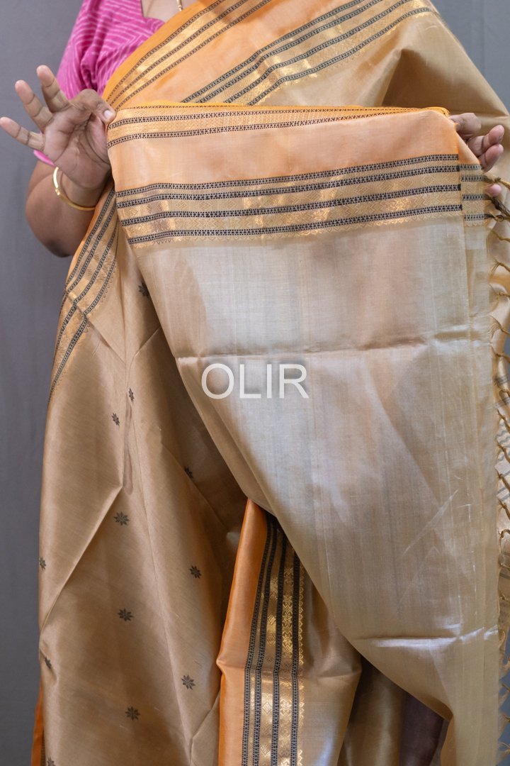 Handwoven Kalakshetra Silk Cotton Saree – Champagne Gold & Peach - Image 3