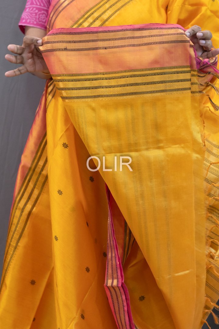 Handwoven Kalakshetra Silk Cotton Saree – Golden Yellow & Peach - Image 3