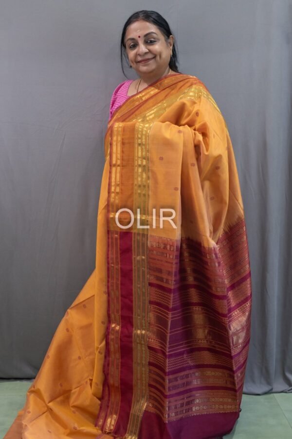 Handwoven Kalakshetra Silk Cotton Saree – Honey Gold & Maroon